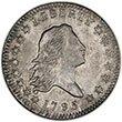 Flowing Hair Half Dollar