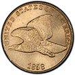 Flying Eagle Cents