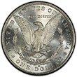 Morgan Dollar